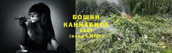 прущие грибы Майский