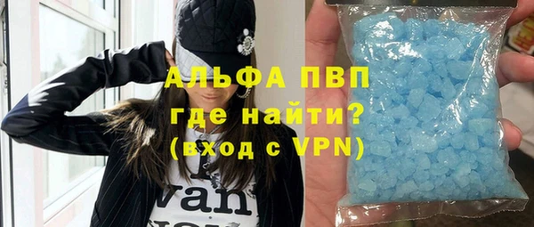 прущие грибы Майский