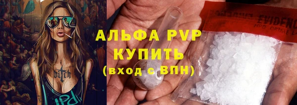 прущие грибы Майский